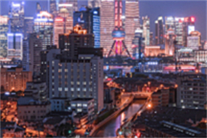 危机管理与上海城市治理的应对机制