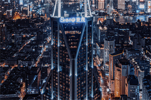 促进经济发展的城市治理策略：上海的案例